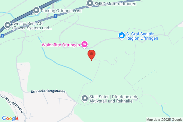 Pauli Consulting