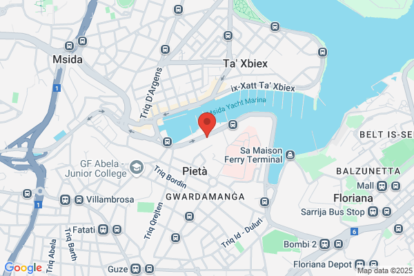 Air Malta Co Ltd