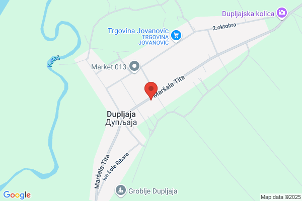Dragan Pajkic Transporte