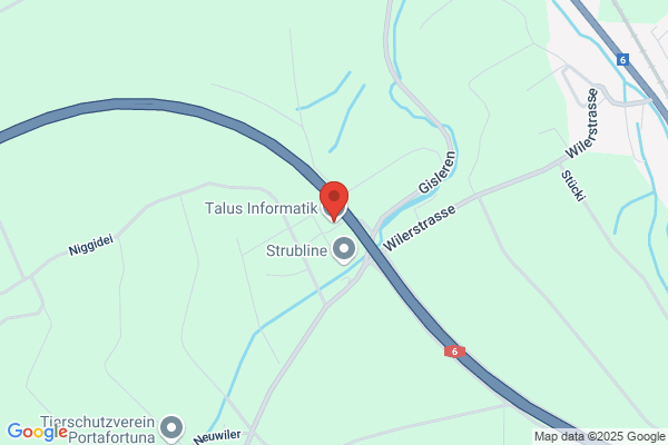 TALLUS AG