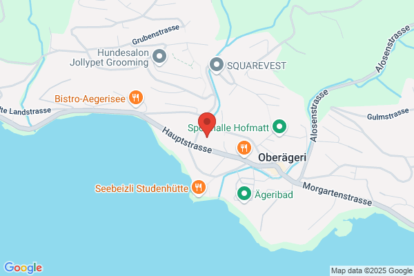 Hermann Steiner