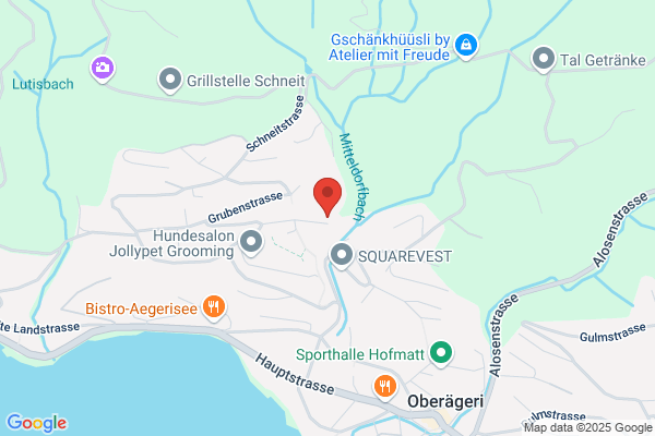 Pius Steinmann Maurerservice