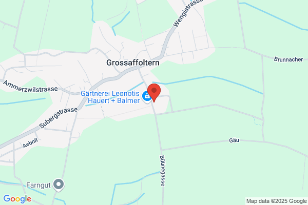 Aeschbacher Baudienste GmbH
