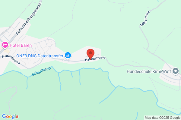 DiversiX GmbH