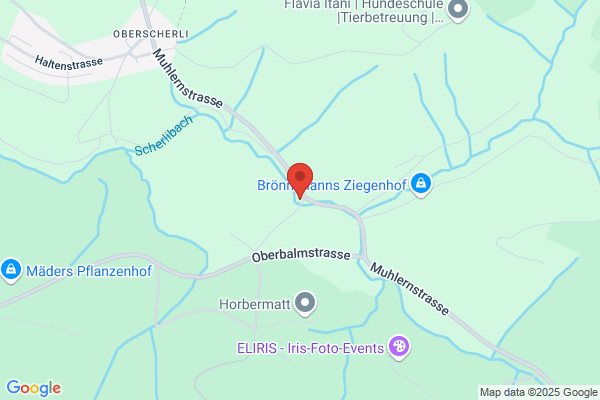 Hansruedi Guggisberg Oberscherli