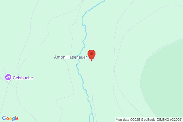 Adol Hasenauer