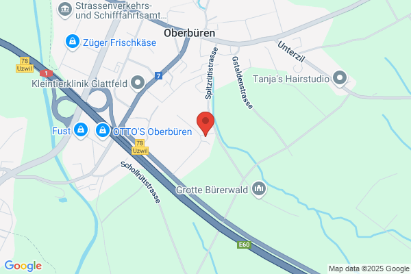 Geoimage Stebler