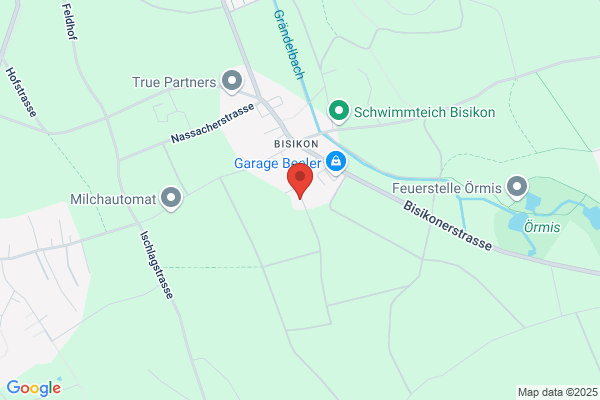 Wartmann und Co. Bisikon