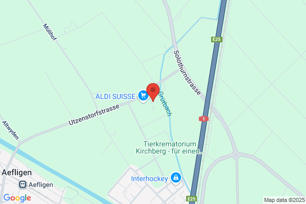 Pianologistik GmbH