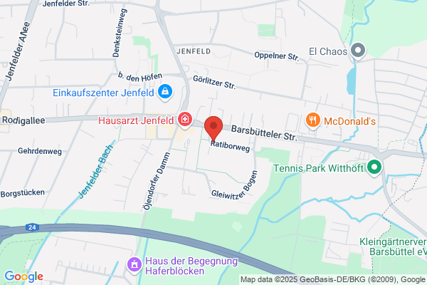 Import und Export Autohandel, Kojic Stanisav
