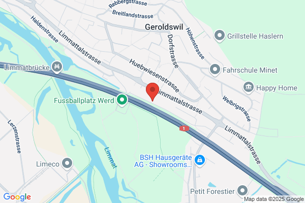 Demelectric AG
