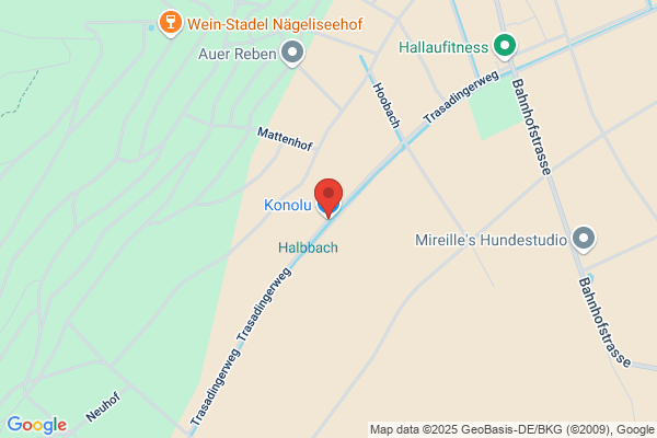 BlueFox GmbH