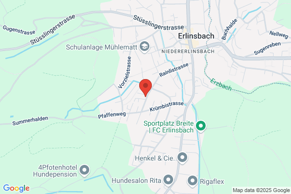 Lernsupport M.Lienhard