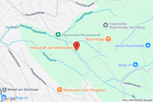 Wirtschaft zur Kittenmuehle AG