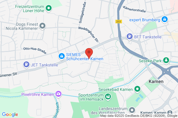 Duenki und Co Consulting and Trading