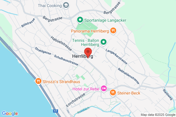 Preisig Consulting