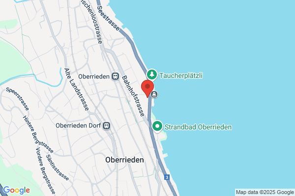 Restaurant GüggeliSternen