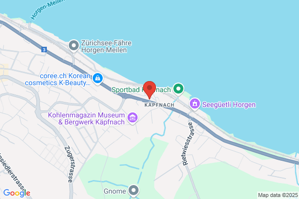 dieci Pizza Kurier Horgen