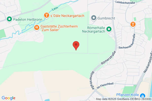 Pulito Reinigungen