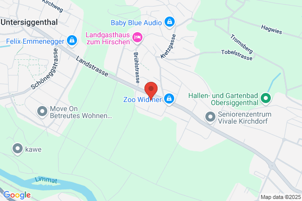Dorfgarage Wullschleger