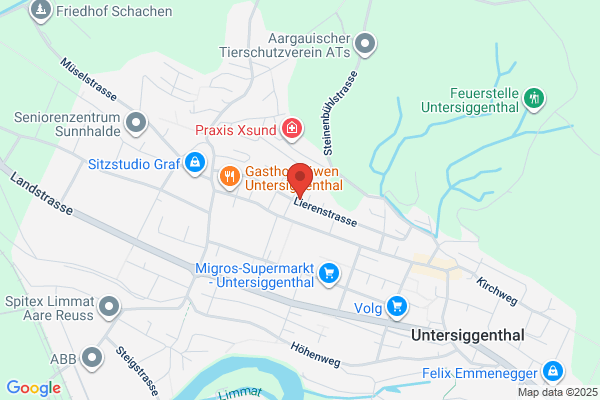Wiedmer Maechler und Partner Treuhand- und Revisions AG