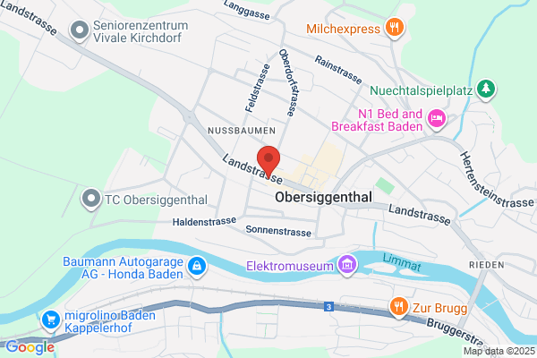 Transport Merz AG