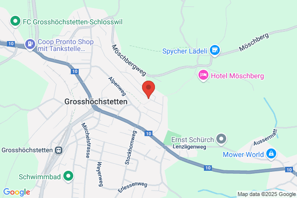 Blaser AG, Immobilien und Verwaltungen