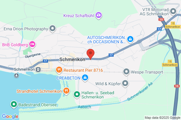 Tankrevisionen Wespe AG