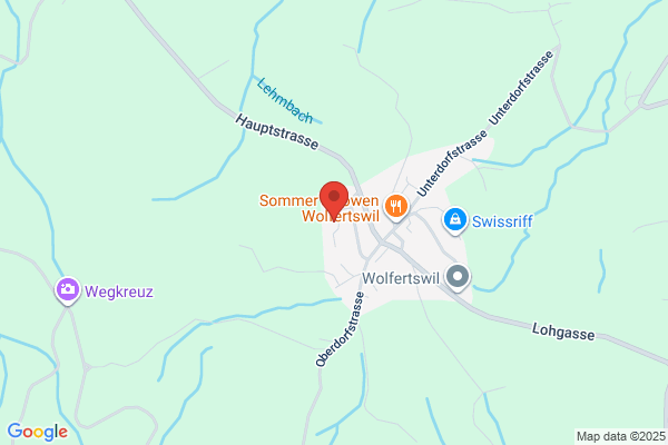 Zentrum f. Informatik u. wirtschaftliche Medizin