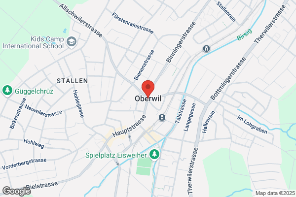BORER MALERGESCHÄFT AG