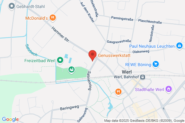 Werlen Informatik