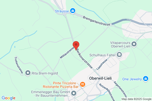 Crameri Elektro