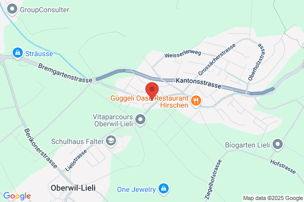 N. Oswald AG Autospenglerei