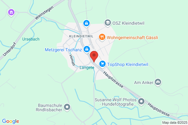 Wüthrich Haustechnik AG