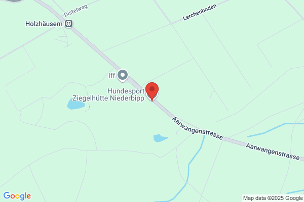 Hundesport H. Buetikofer