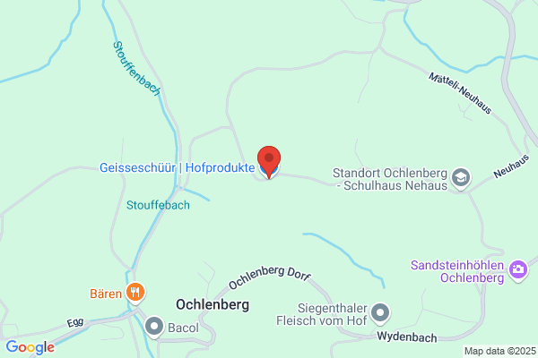 Karl Geissbuehler