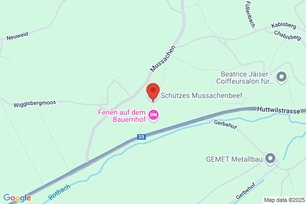 Schützes Mussachenbeef