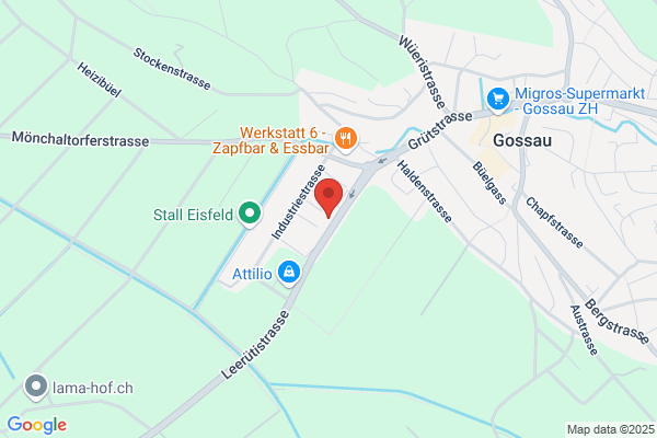 Schoenenberger Nutzfahrzeuge AG
