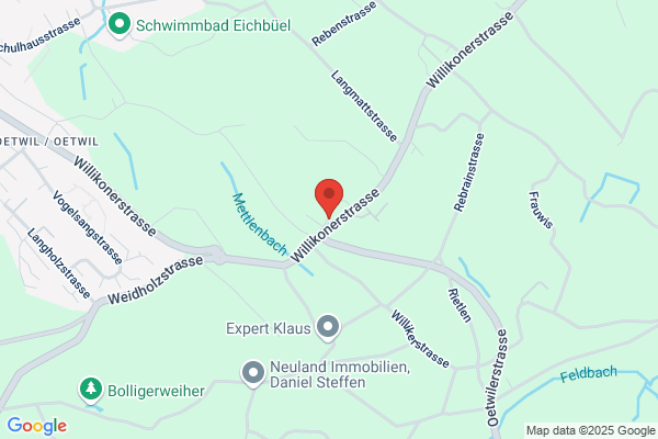Palmcity (Schweiz) AG