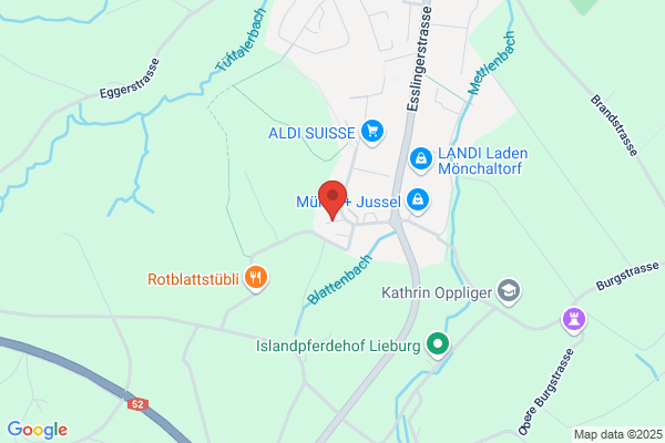 Fuerst Elektroanlagen AG