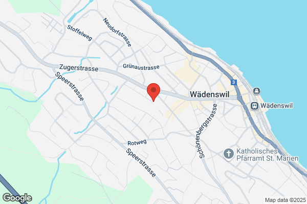 Pfingstgemeinde Waedenswil (SPM)