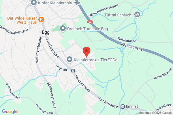 Schicker Treuhand