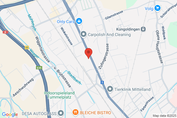 Wuelsag Apparatebau AG