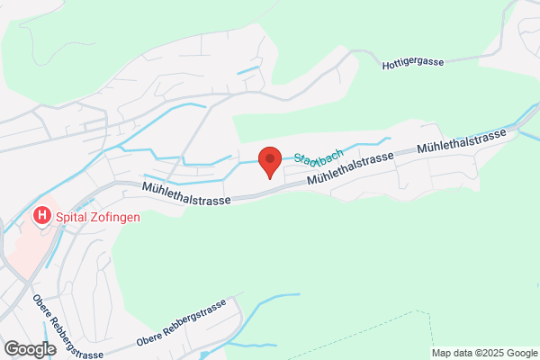 Gertsch Consulting und Mode Vision