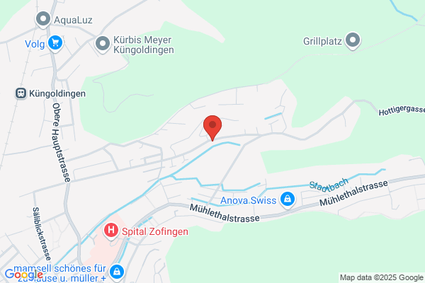 Zimmerli Carreisen und Fahrschule