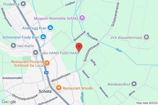 Dr.med.vet. Meinrad Wueest
