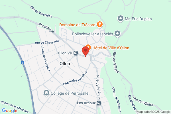 Police municipale
