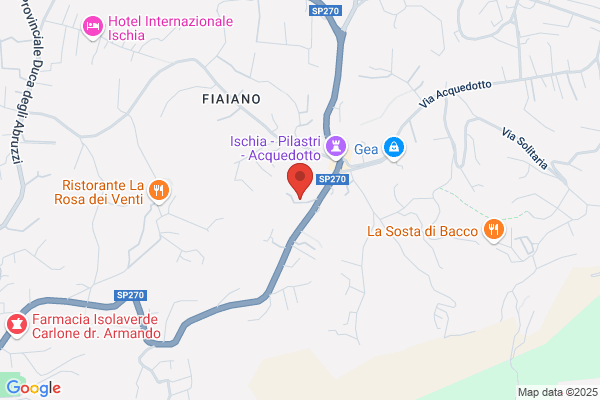 Rhyline-Tours E. Ischi