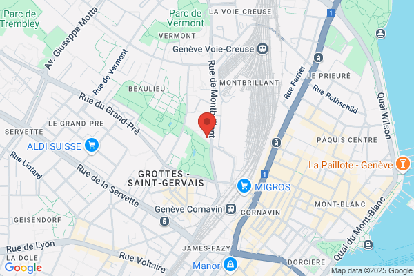 Meneses HandyMan MultiServices