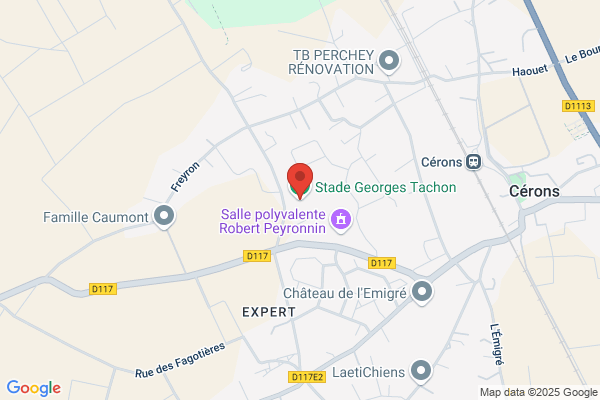 Georges Tachon